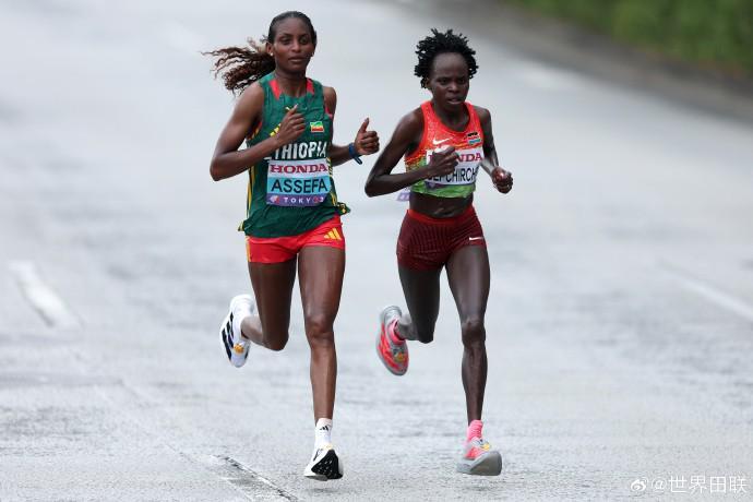 澳網,施安迪动作,引争议缺乏,新葡京,新葡京app,新葡京娱乐,新普京赌场