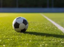 辽宁本钢再,总决赛,成就,新葡京,新葡京app,新葡京娱乐,新普京赌场