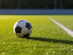 印尼高层更,迭加速西化,步伐,新葡京,新葡京app,新葡京娱乐,新普京赌场